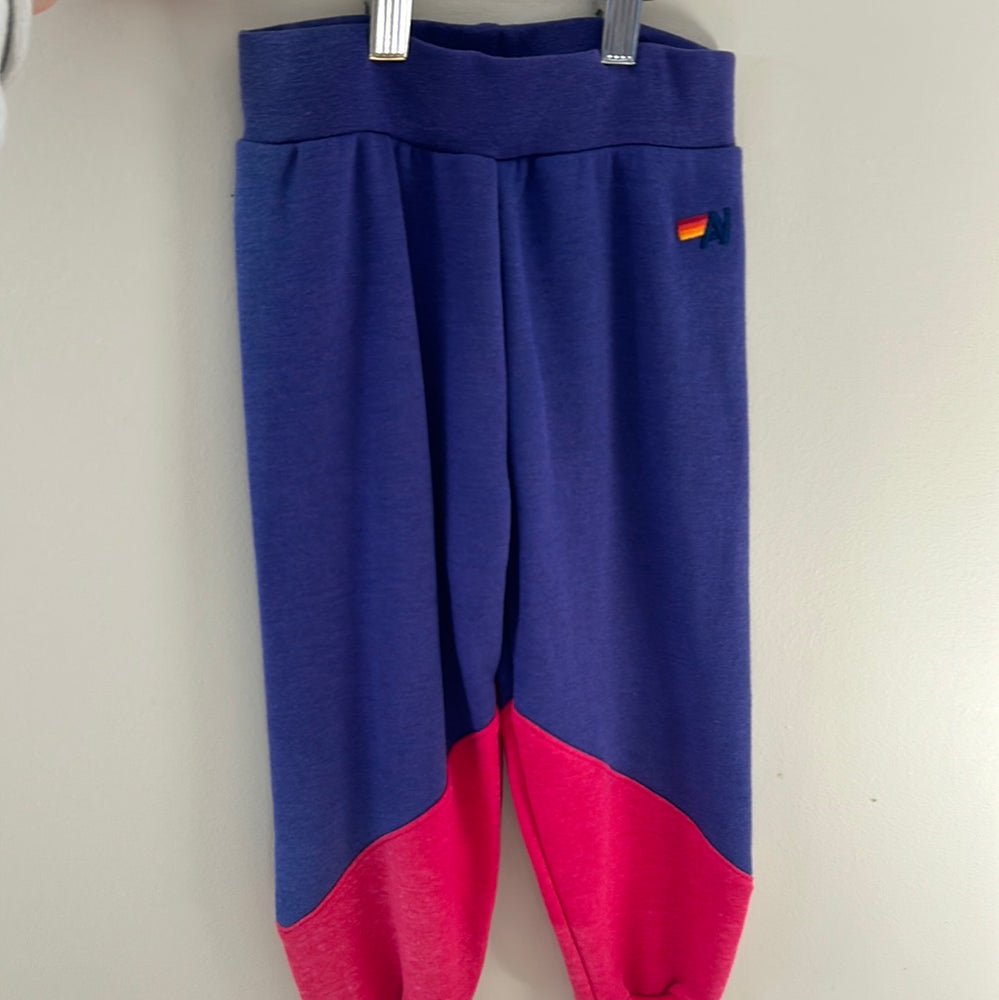 Aviator Nation Kids Pink and Purple Sweatpants